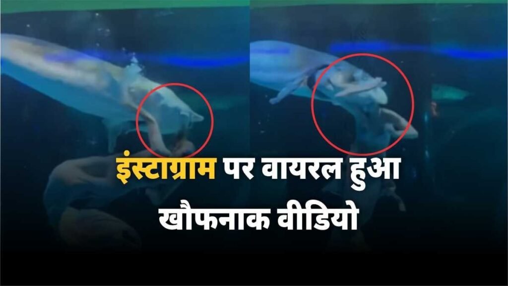 Xishuangbanna Primitive Forest Park - Hindi News Express